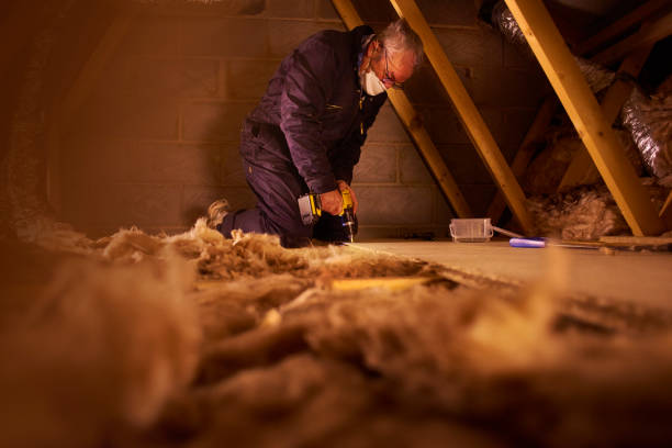 Best Soundproof Insulation  in Binghamton, NY